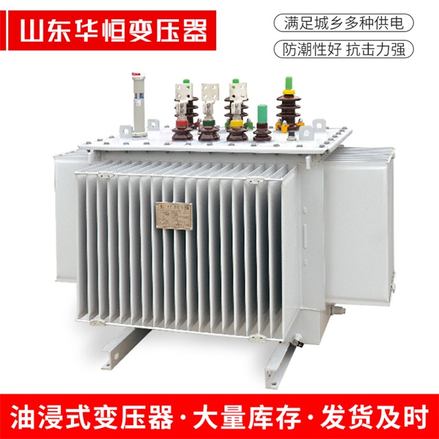 S13-10000/35永泰永泰永泰电力变压器